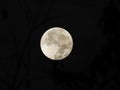 Following night after full Hunter Moon was still bright in the nightsky Royalty Free Stock Photo