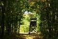 Hunter's stand in the forest Royalty Free Stock Photo