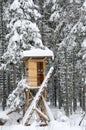 Hunter's stand in the winter forest Royalty Free Stock Photo