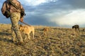 Hunter and tracking dogs hiking in desert scene