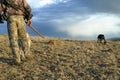 Hunter and tracking dogs in stormy desert scene Royalty Free Stock Photo