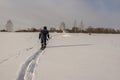 a hunter on wide skis walks with a weapon across a snow-covered field casting a long shadow