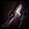 Hunters gun closeup Royalty Free Stock Photo