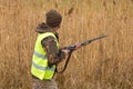 Hunter with a gun and german drathaar. Pigeon hunting with dogs.s