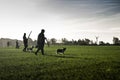 Hunters with hunting dogs walk through field