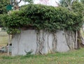 hunters hut camouflaged with green branches and leaves to be abl Royalty Free Stock Photo