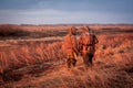 Hunters looking out for prey during hunting in rural field during sunrise. Royalty Free Stock Photo