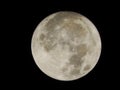 Hunters Moon in NYS October 2019 Royalty Free Stock Photo