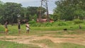 Hunting of birds in a Green field in a colony at Dimapur, Nagaland, India. Royalty Free Stock Photo