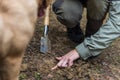 PALADINI, CORATIA - SEPTEMBER 26, 2022: Truffle hunter with dog in Paladini, Croatia. Pigs and dogs can sniff out