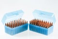 Hunting cartridges in a plastic box. Bullet storage box. Royalty Free Stock Photo