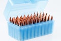Hunting cartridges in a plastic box. Bullet storage box. Royalty Free Stock Photo