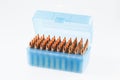 Hunting cartridges in a plastic box. Bullet storage box. Royalty Free Stock Photo