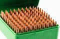 Hunting cartridges in a plastic box. Bullet storage box. Royalty Free Stock Photo