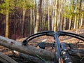 Hunting crossbow in woods