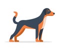 Hunting Dog icon. Black white and brown pet dog. Happy home animal setter or terrier dog. Royalty Free Stock Photo