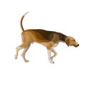 Hunting dog vector Royalty Free Stock Photo