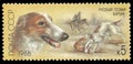 Hunting dogs, Borzoi