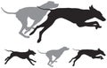 Hunting dogs run vector silhouettes