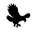 Hunting eagle vector illustration black silhouette