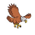 Hunting eagle vector illustration