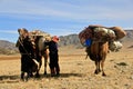 Kazakh nomads culture and lifestyle