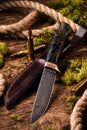 Hunting equipment. Shotgun, hunting cartridges and hunting knife on wooden table Royalty Free Stock Photo