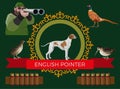 Hunting gun dog vector