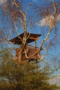 Hunting hide in a tree Royalty Free Stock Photo