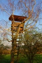 Hunting hide in a tree Royalty Free Stock Photo