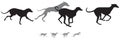 The hunting hound dogs run, variant 2 vector silhouettes Royalty Free Stock Photo