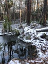 A fantastic view of snowy South Carolina - Hunting Island State Park - USA