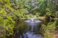 Hunting island beach scenes Royalty Free Stock Photo