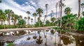 Hunting island beach and state park in south carolina Royalty Free Stock Photo