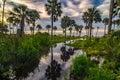 Hunting island beach and state park in south carolina Royalty Free Stock Photo