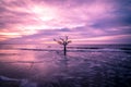 Hunting island south carolina beach scenes Royalty Free Stock Photo