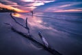 Hunting island south carolina beach scenes Royalty Free Stock Photo