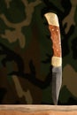 Hunting knife Royalty Free Stock Photo