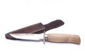 Hunting knife and sheath