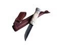 A hunting knife with a short blade and a bone handle with a leather case on a white background Royalty Free Stock Photo