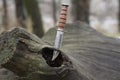 Hunting knife Royalty Free Stock Photo