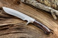 Hunting knife, survival, adventure and wilderness life.