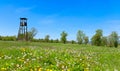 Hunting lodge made of wood in the meadow full of flowers Royalty Free Stock Photo