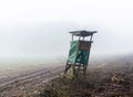 Hunting perch in morning fog Royalty Free Stock Photo