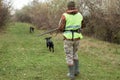 Hunting period, autumn season open. A hunter with a gun in his hands in hunting clothes in the autumn forest in search of a trophy