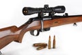 The hunting rifle, calibre 308win Royalty Free Stock Photo