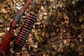 Hunting rifle and cartridges in the autumn forest close-up. The hunting period, the fall season is open, the search for prey Royalty Free Stock Photo