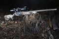 Hunting rifle with high powered scope on a rotting tree stump Royalty Free Stock Photo