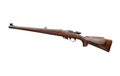 Hunting rifle isolated