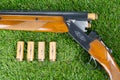 Hunting rifle next to three bullets on a green lawn Royalty Free Stock Photo